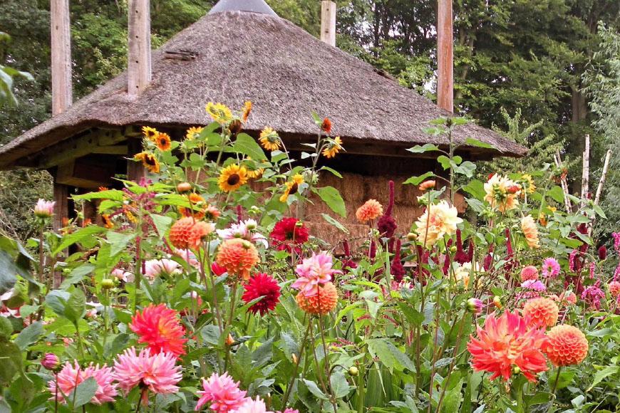 Tuinreis-NazomerMiddenNederland-02