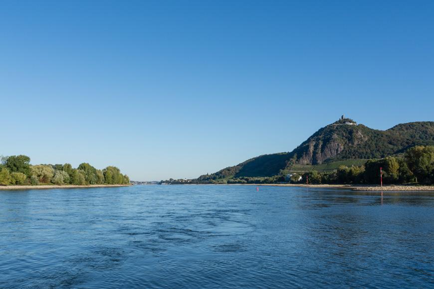 Rijn