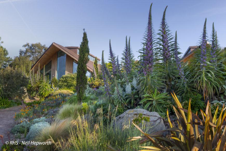 Tuinreis-EastAnglia-03