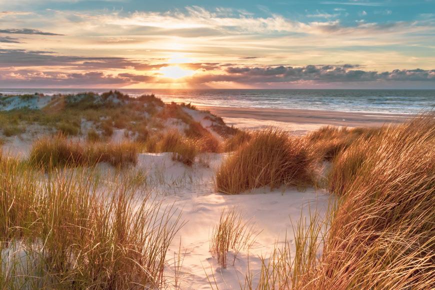 Van Lelystad tot Keulen in lentekleuren01.jpg