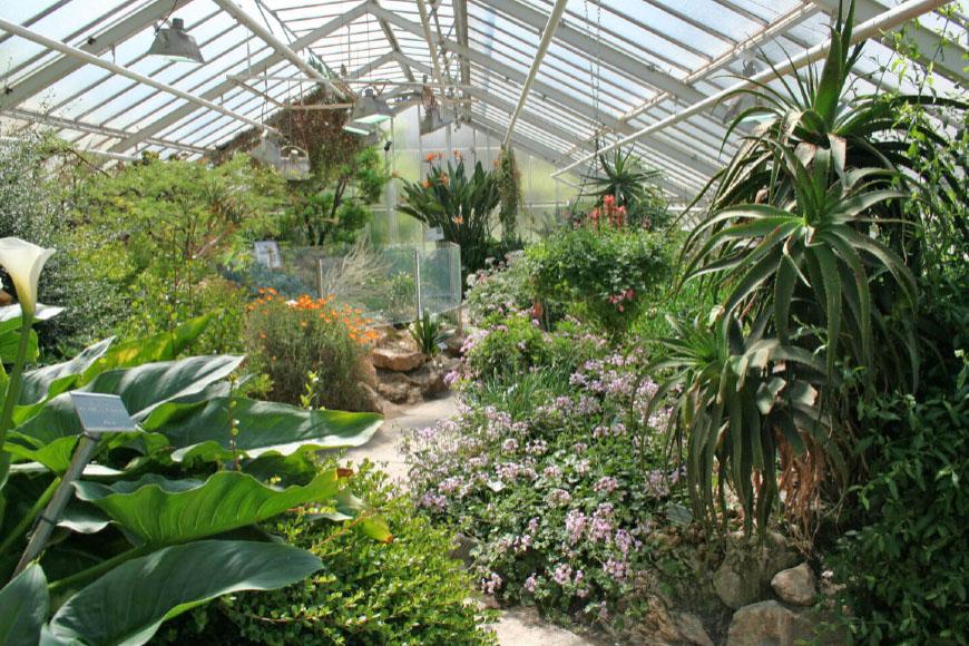 Tuinreis-Munster-02