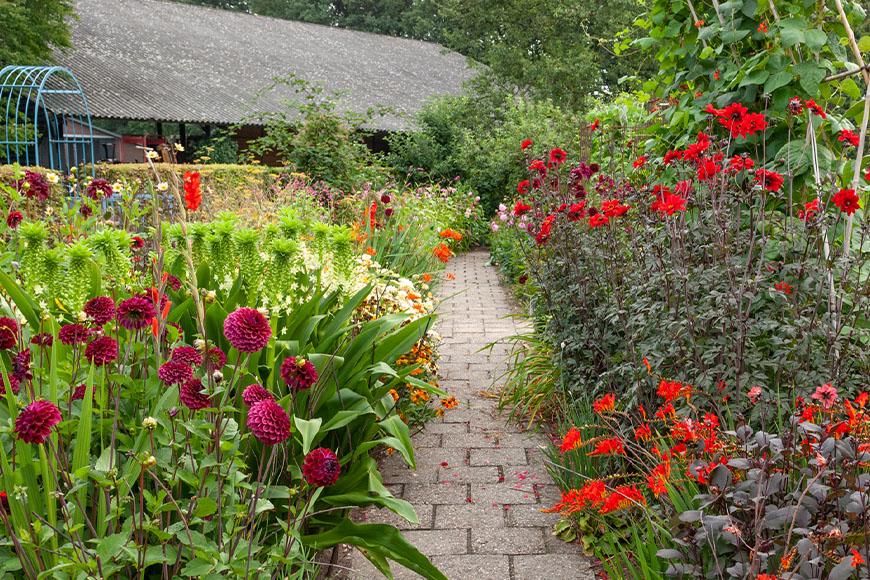 Tuinreis-NazomerMiddenNederland-03