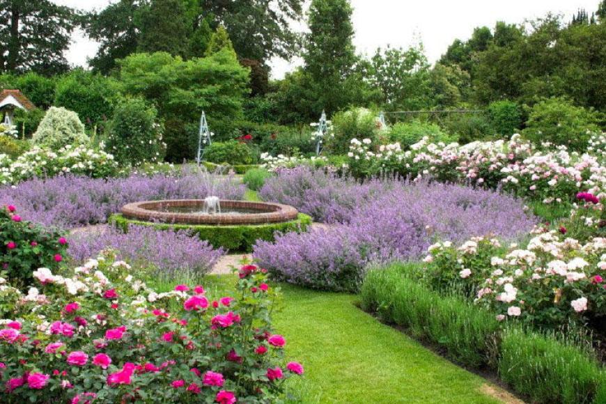 Tuinreis-WestSussex-02