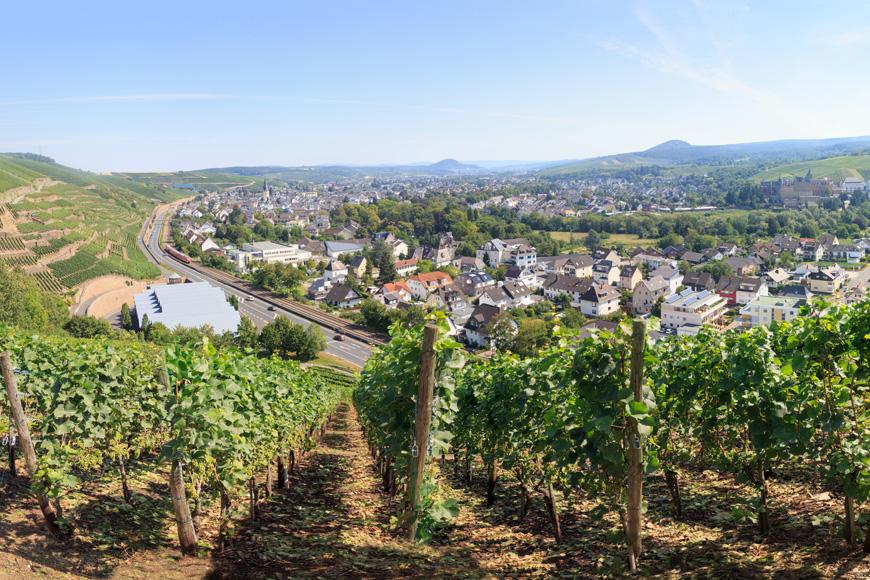 Drachenfels wijnregio