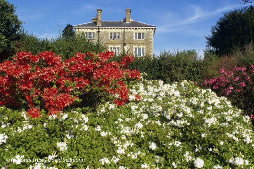 Tuinreis-DorsetWight-03