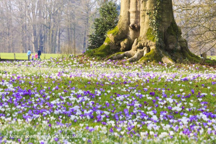 Tuinreis-VoorjaarGelderland-05