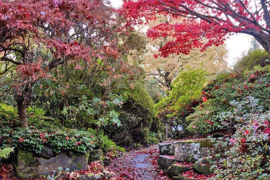 Tuinreis-PumpkinPatchWestSussex-03