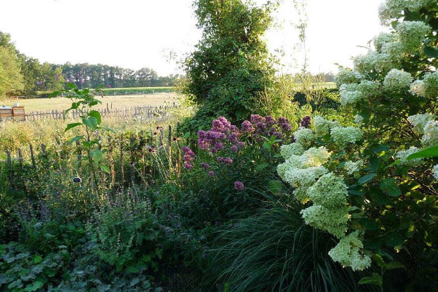 Tuinreis-Munster-01