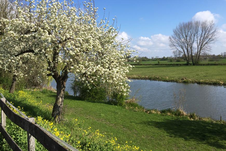 Betuwe04